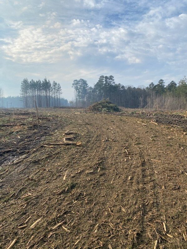 Clear Cut Harvests – Harvestmytimber