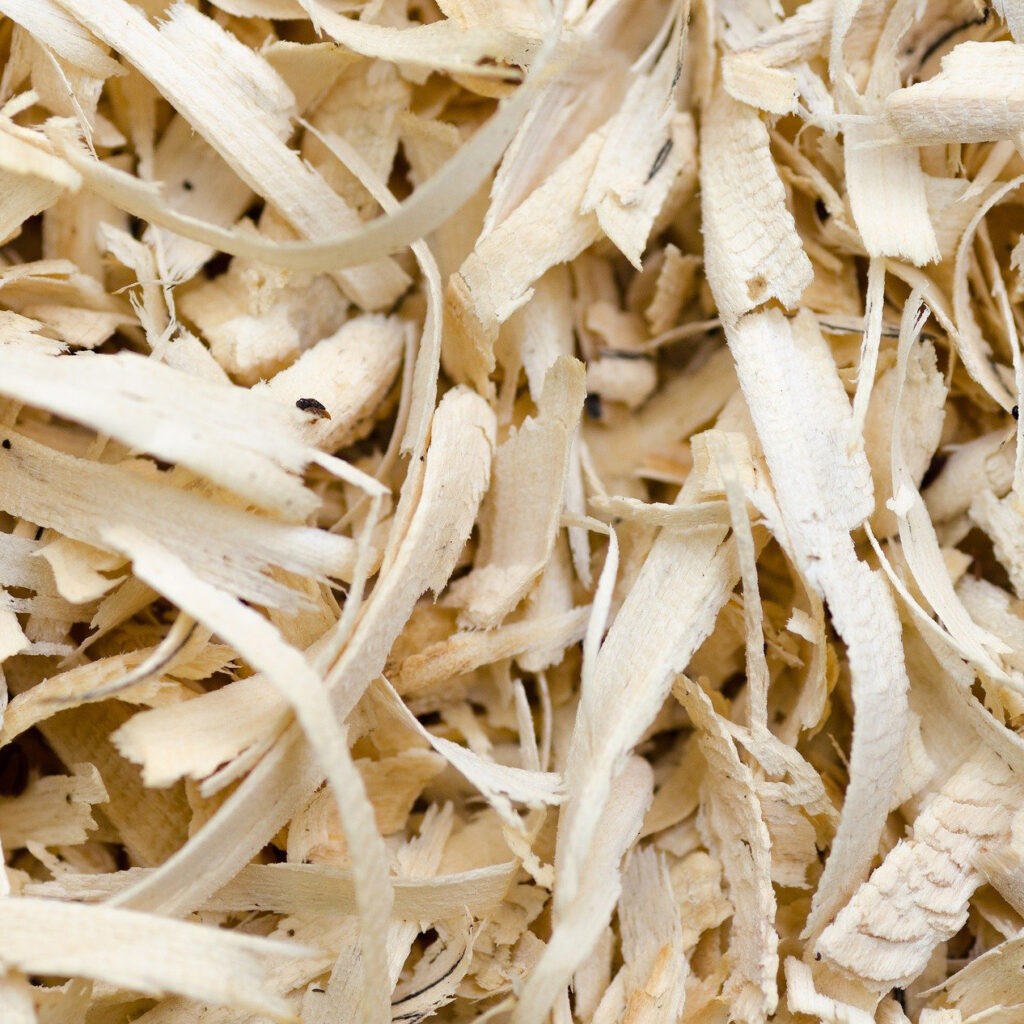 curly sawdust
